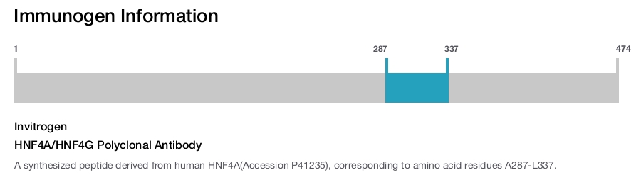 HNF4A/HNF4G Polyclonal Antibody