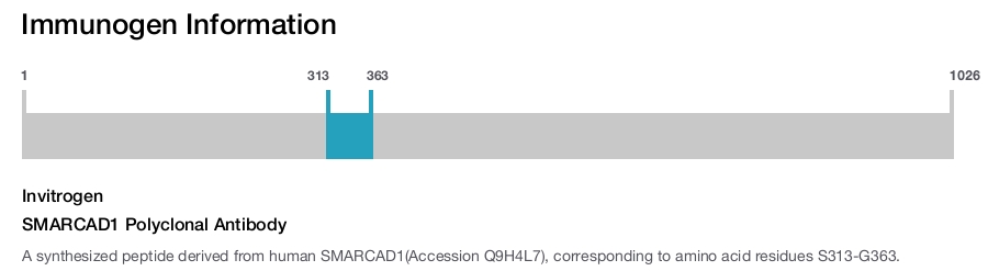 SMARCAD1 Polyclonal Antibody