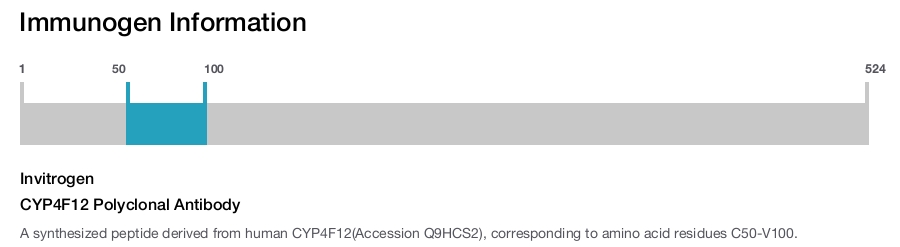 CYP4F12 Polyclonal Antibody