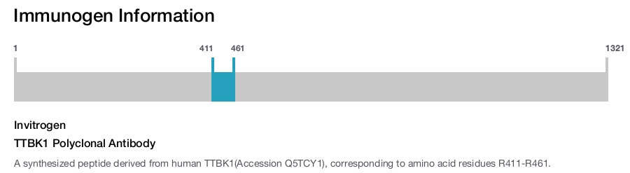 TTBK1 Polyclonal Antibody