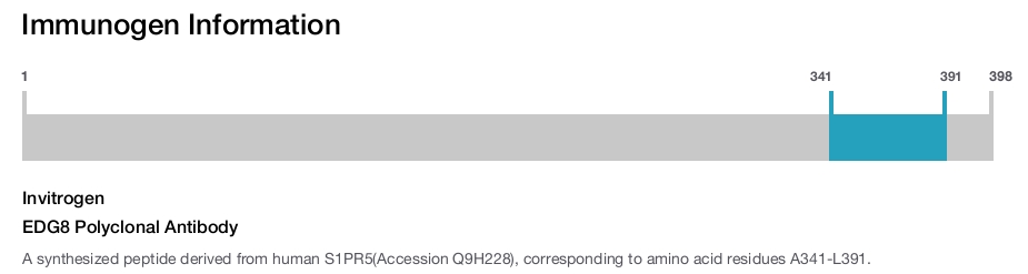 EDG8 Polyclonal Antibody