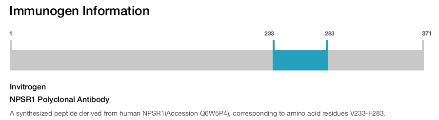 NPSR1 Polyclonal Antibody