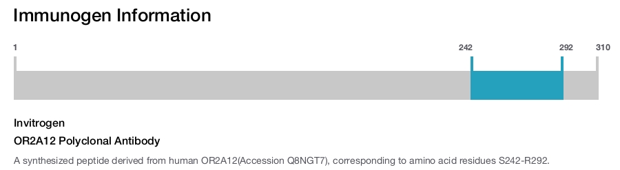 OR2A12 Polyclonal Antibody