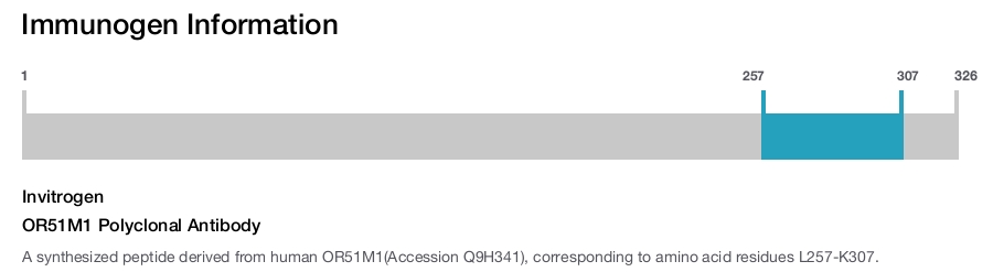 OR51M1 Polyclonal Antibody