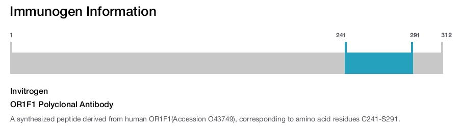 OR1F1 Polyclonal Antibody