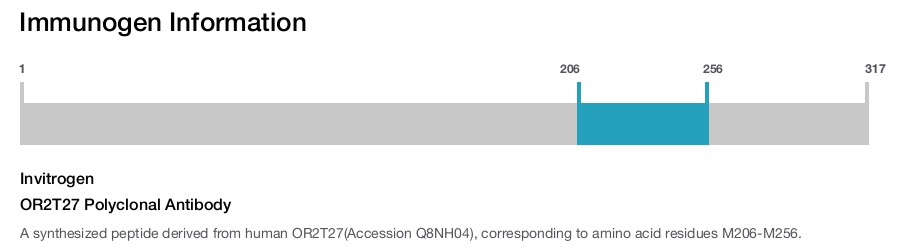 OR2T27 Polyclonal Antibody