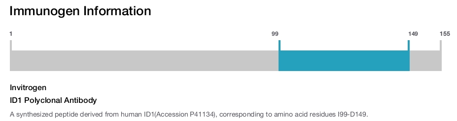 ID1 Polyclonal Antibody
