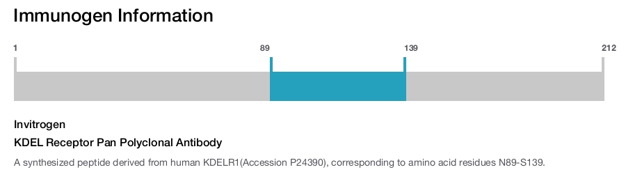 KDEL Receptor Pan Polyclonal Antibody