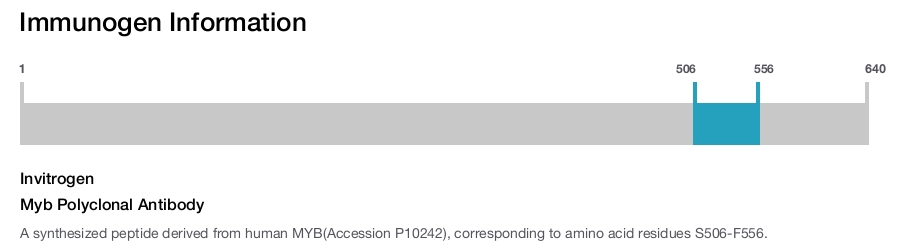 Myb Polyclonal Antibody