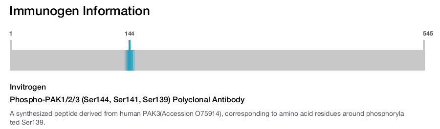Phospho-PAK1/2/3 (Ser144, Ser141, Ser139) Polyclonal Antibody