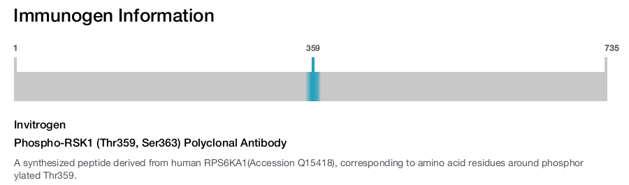 Phospho-RSK1 (Thr359, Ser363) Polyclonal Antibody