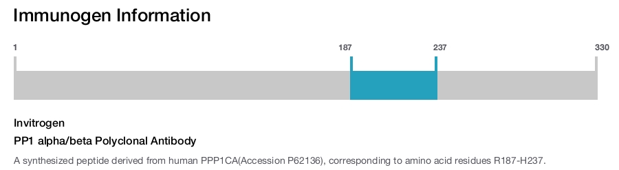 PP1 alpha/beta Polyclonal Antibody