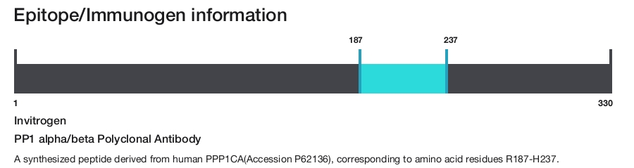 PP1 alpha/beta Polyclonal Antibody