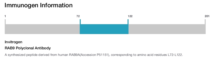 RAB9 Polyclonal Antibody