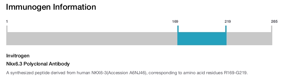 Nkx6.3 Polyclonal Antibody