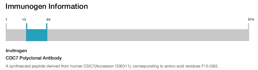 CDC7 Polyclonal Antibody