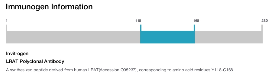 LRAT Polyclonal Antibody