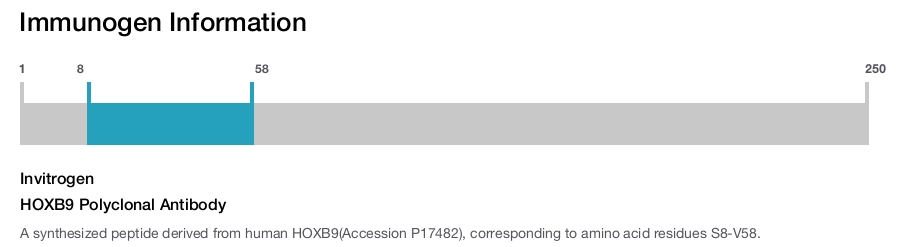 HOXB9 Polyclonal Antibody