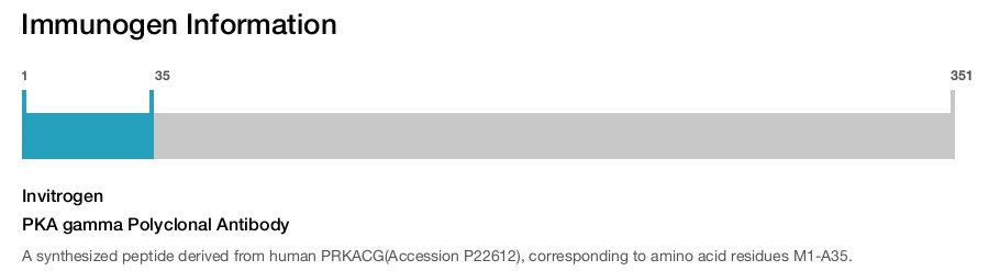 PKA gamma Polyclonal Antibody