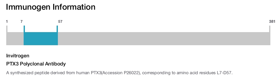 PTX3 Polyclonal Antibody
