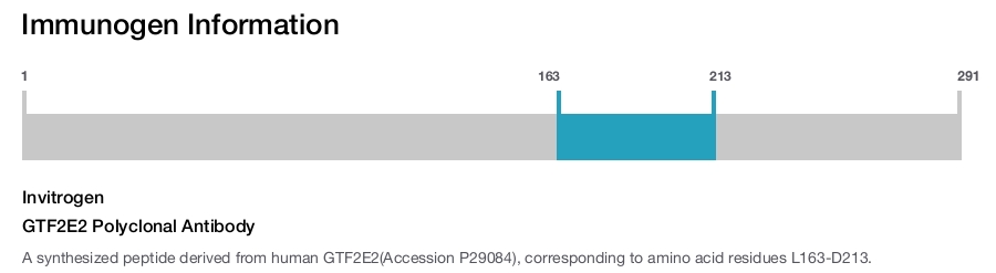 GTF2E2 Polyclonal Antibody