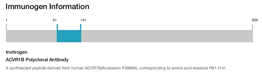 ACVR1B Polyclonal Antibody