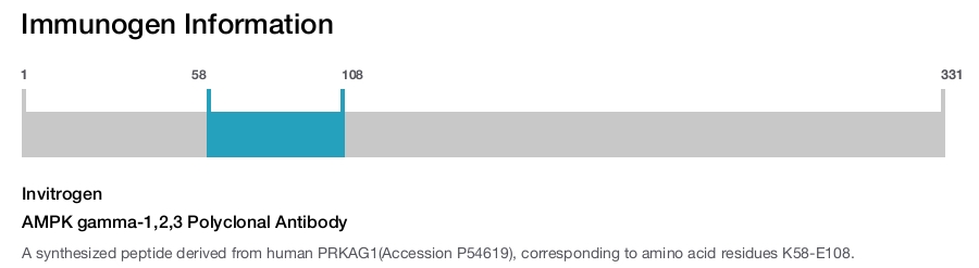 AMPK gamma-1,2,3 Polyclonal Antibody