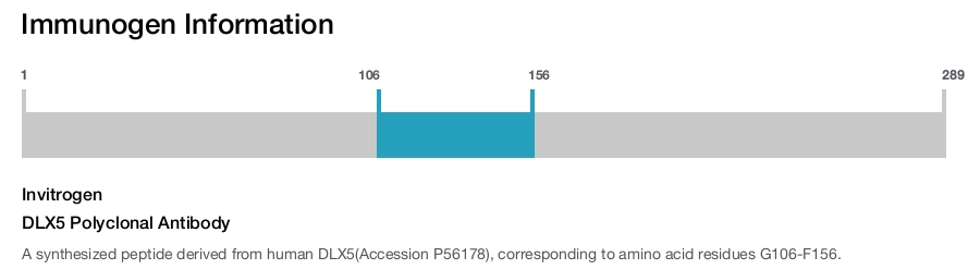 DLX5 Polyclonal Antibody