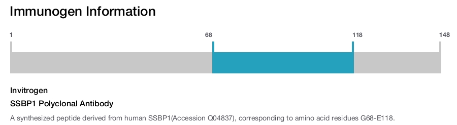 SSBP1 Polyclonal Antibody
