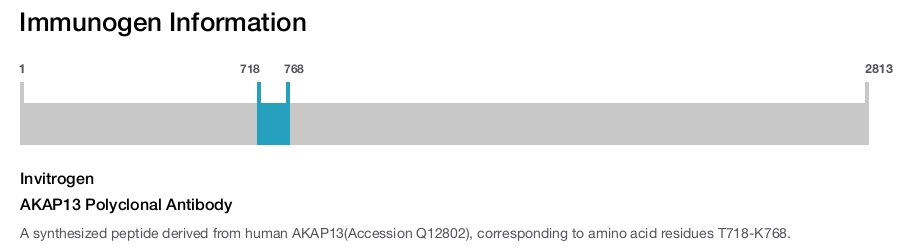 AKAP13 Polyclonal Antibody