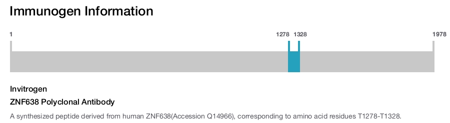 ZNF638 Polyclonal Antibody