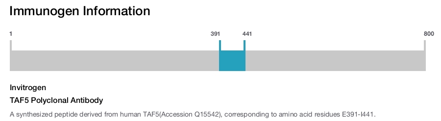 TAF5 Polyclonal Antibody