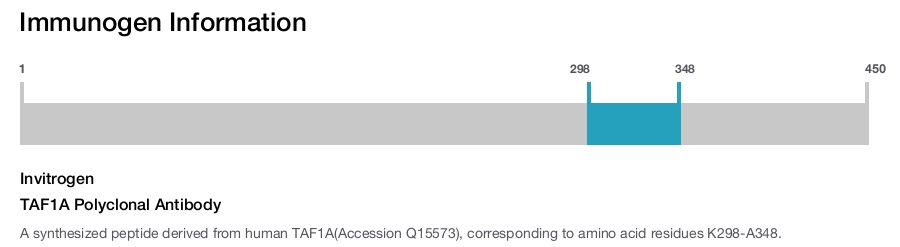 TAF1A Polyclonal Antibody