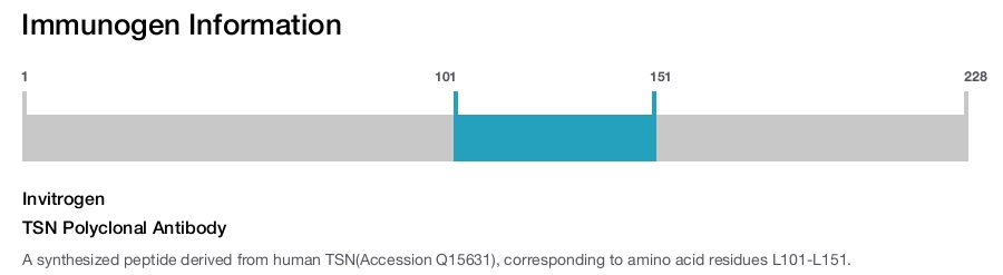 TSN Polyclonal Antibody