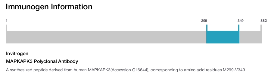 MAPKAPK3 Polyclonal Antibody