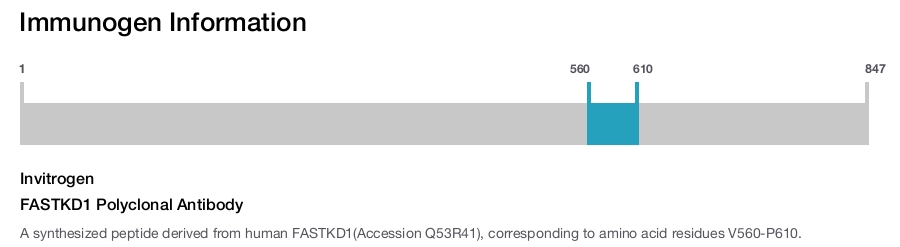 FASTKD1 Polyclonal Antibody