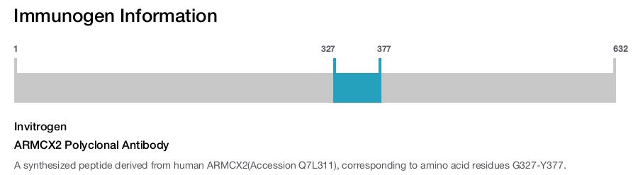 ARMCX2 Polyclonal Antibody