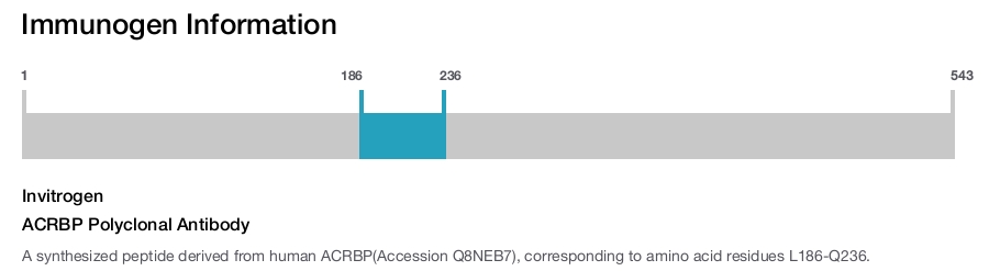 ACRBP Polyclonal Antibody