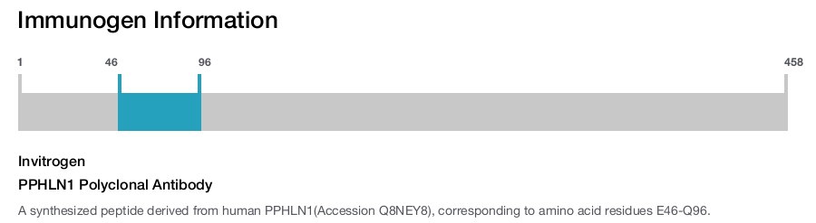 PPHLN1 Polyclonal Antibody