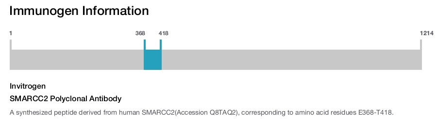 SMARCC2 Polyclonal Antibody