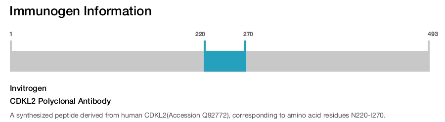 CDKL2 Polyclonal Antibody