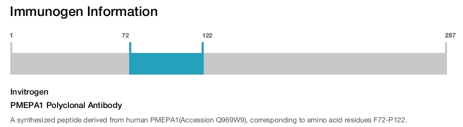 PMEPA1 Polyclonal Antibody