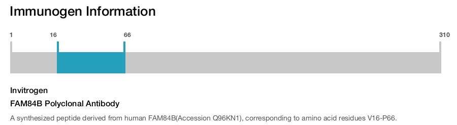 FAM84B Polyclonal Antibody