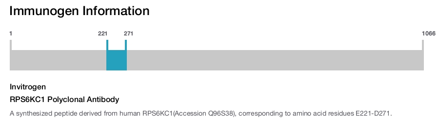 RPS6KC1 Polyclonal Antibody
