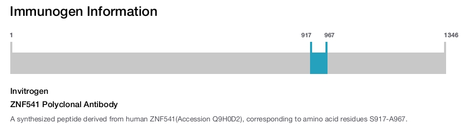 ZNF541 Polyclonal Antibody