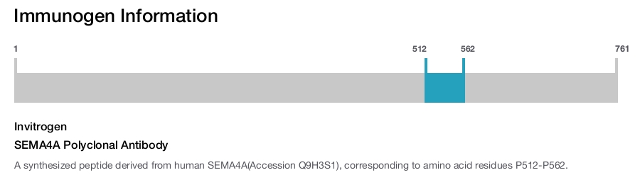 SEMA4A Polyclonal Antibody