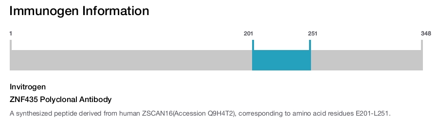 ZNF435 Polyclonal Antibody