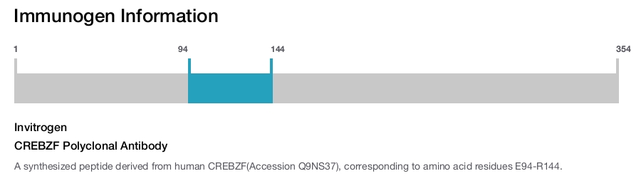 CREBZF Polyclonal Antibody