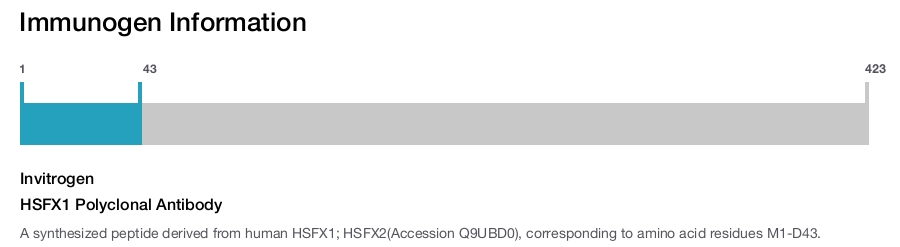 HSFX1 Polyclonal Antibody