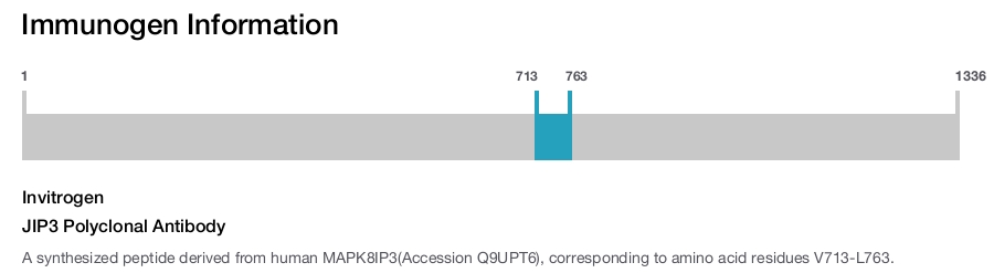 JIP3 Polyclonal Antibody